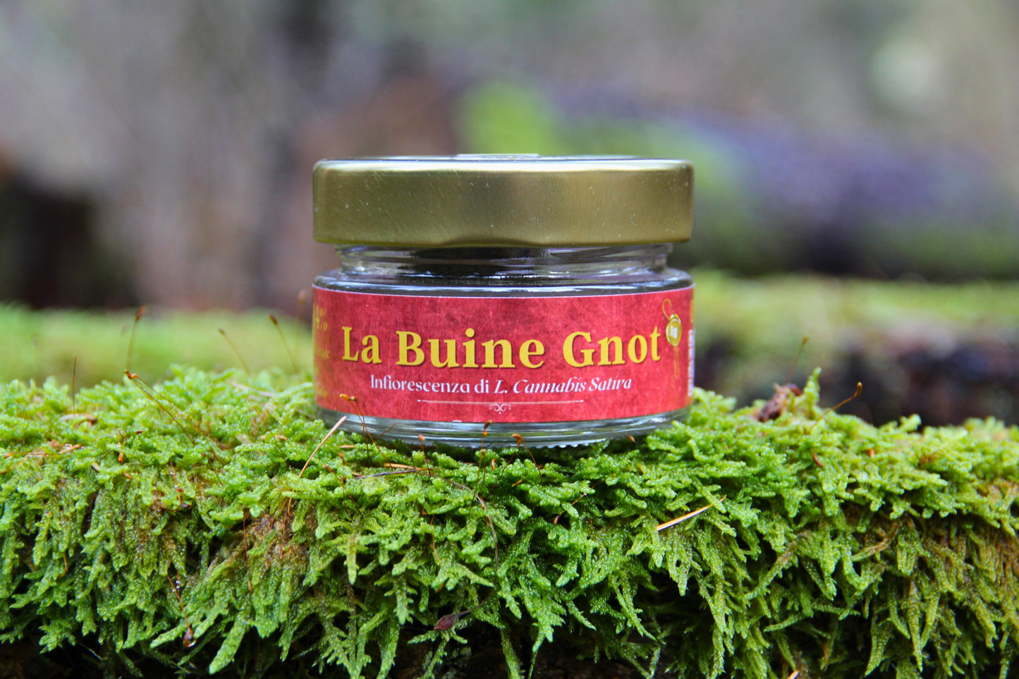 La Buine Gnot