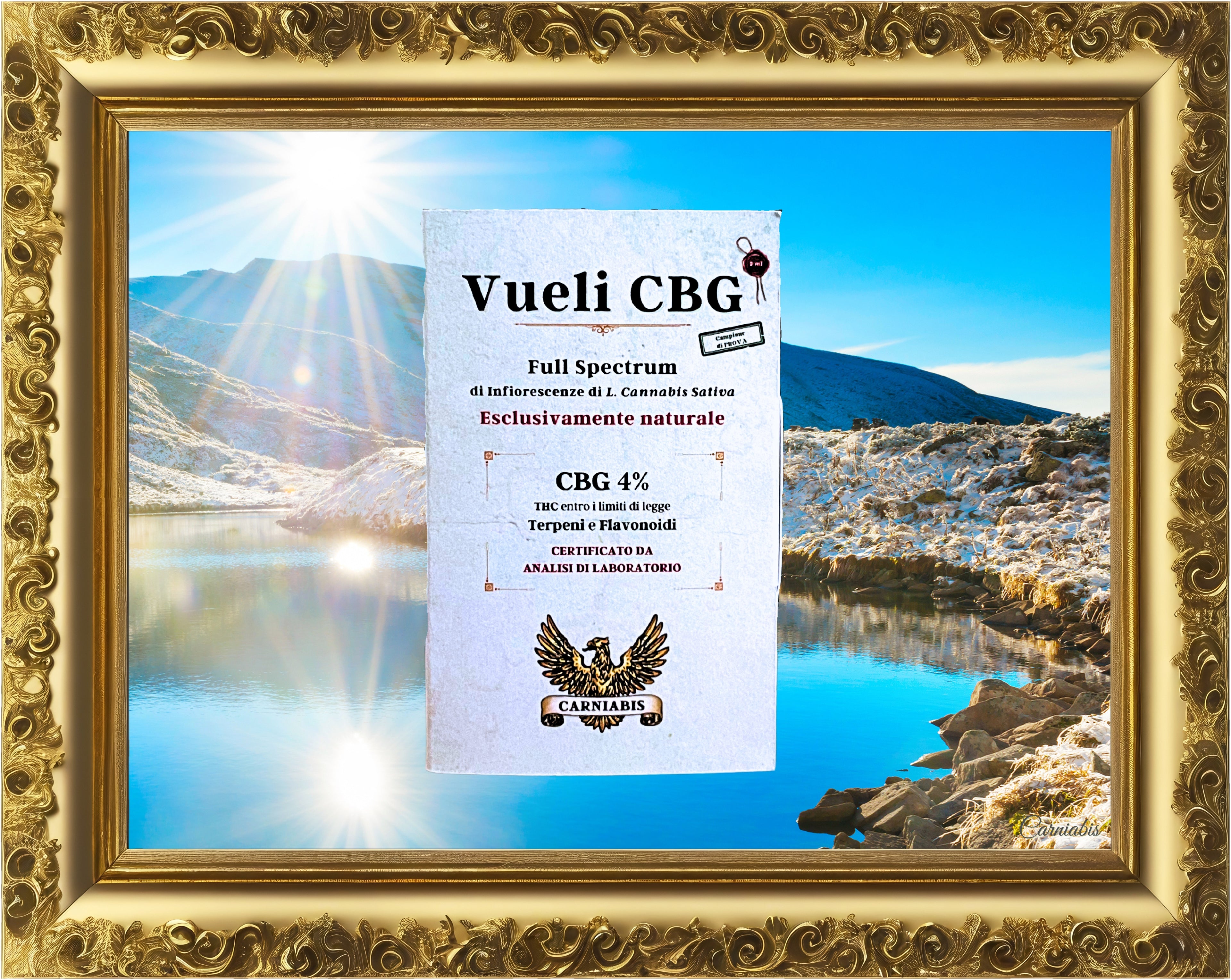 Vueli CBG
