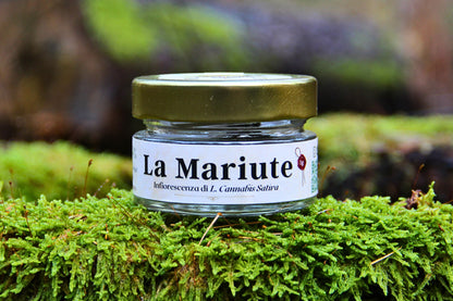 La Mariute